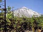 PARQUE NACIONAL DEL TEIDE Turismo rural